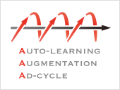 AUTO-LEARNING AUGMENTATION AD-CYCLE